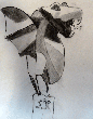 dibujo a carboncillo