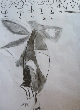 dibujo a carboncillo