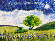 Paisaje