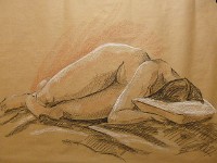 desnudos